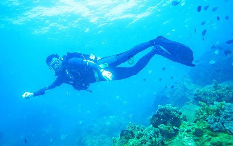 冬季心血管疾病死亡率比夏天高41% 寒潮来袭，“控血压”锦囊请收好